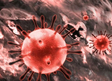 Laborvezető: többféle koronavírust is izoláltak 