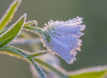 A hétvégén több helyen várható talajmenti fagy