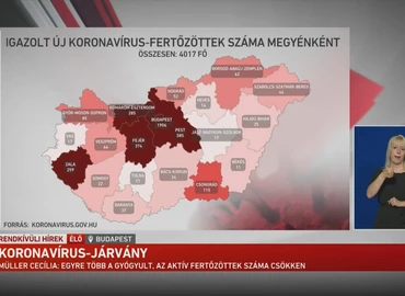 Számok, adatok a járványról