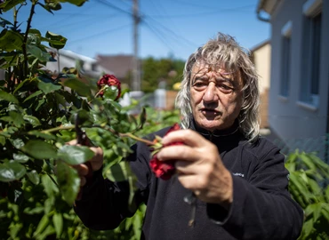 Ásó, kapa gereblye: Nincsen rózsa tövis nélkül – nincsen kiskert rózsa nélkül