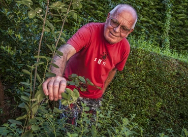 Ásó kapa... – Homoktövis és fanyarka, az immunrendszerért
