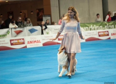 Világbajnokságot nyerhetünk kutyatáncban