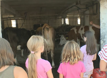 Rengeteget tanulnak a fiatalok a garabonci Farm táborban