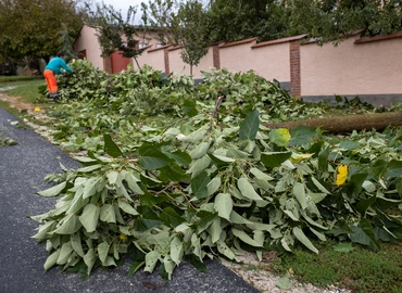Kéményt, fát döntött, tetőt bontott a vihar Eszteregnyén