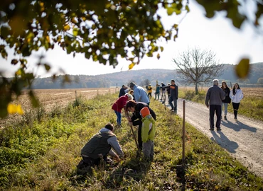 10 Millió Fa a friss levegőért – Facsemetéket ültettek Orosztonyban