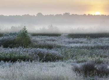 Fokozatosan hűl az idő a jövő héten