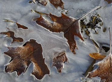 Reggel mínuszok voltak, a jövő héten napközben is hideg lehet