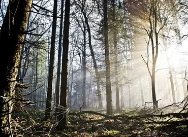 Magyarországon akár 15 fok, az Alpokban jelentős havazás várható