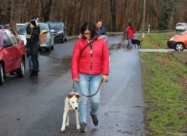 Ismét vidámsággal telt meg a kanizsai állatotthon