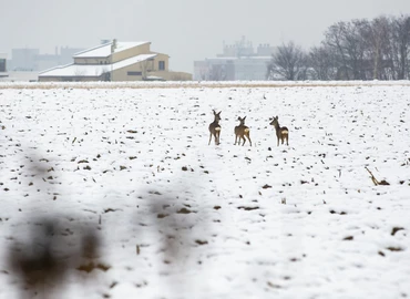 A jövő héten ismét téliesre fordul az időjárás