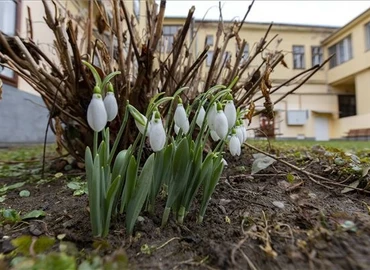 Melegszik az idő a jövő héten