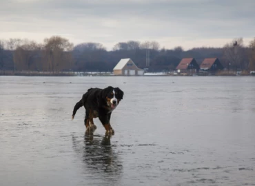 Kutya hideg lesz, jönnek a mínuszok