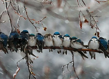 A leghidegebb órákban mínuszokra kell készülni a tavasz első hétvégéjén