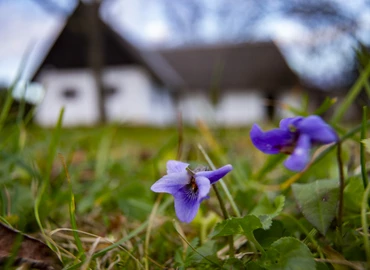 Változékony idő várható a hosszú hétvégén