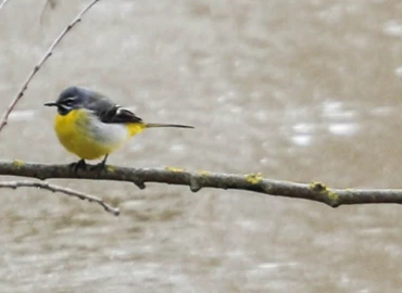 Szórványosan hózáporokra is készülni kell a hétvégén