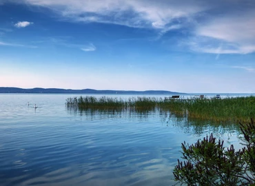 Indul a szúnyoggyérítés a Balatonnál