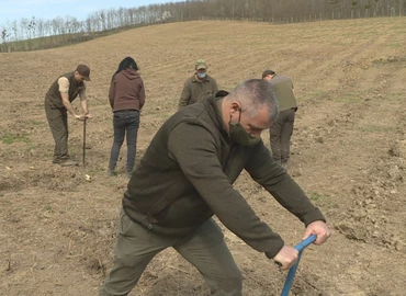 Padáron folytatódott az „Újszülöttek erdeje”