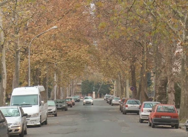 Gyalogost ütöttek el a Platán soron