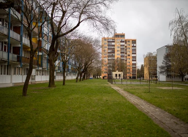 Kóbor ebek a városban – Tüzeléskor fokozottan figyeljünk állatainkra!