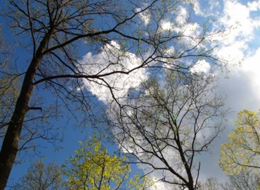 Hidegfront vonul át, majd a hétvégén ismét melegszik az idő