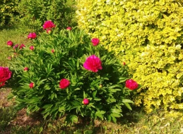 Nyáriasan meleg idő várható a következő napokban