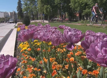 Folyamatosan dolgoznak a parkfentartó munkatársai, hogy a város közterületeit szépítsék