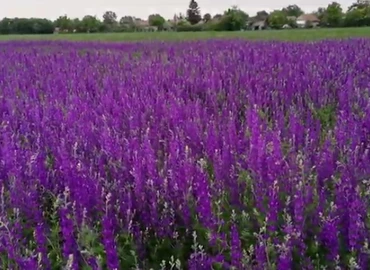 Fokozatosan melegszik az idő a nyár első napjaiban