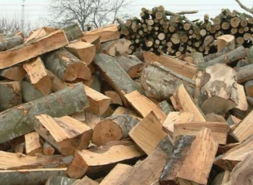 Az idén 4 milliárd forint jut szociális tűzifára