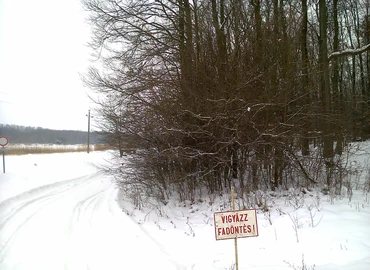 Vigyázat! Fákat döntenek a Csónakázó-tónál!