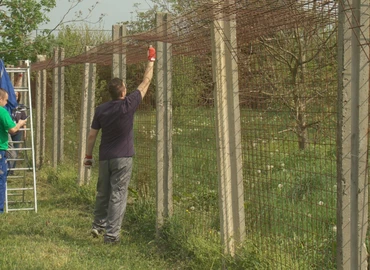 A nagykanizsai állatmenhelyen önkénteskedtek a Nilfisk dolgozói