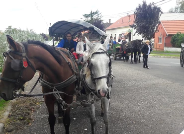 Újbort is kóstoltak a szüreti felvonulók