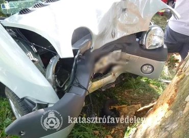 Fának ütközött egy autós Nagykapornakon