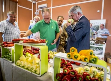 AM: a kertészeti ágazat fejlődése is hozzájárul a biztonságos élelmiszerellátáshoz