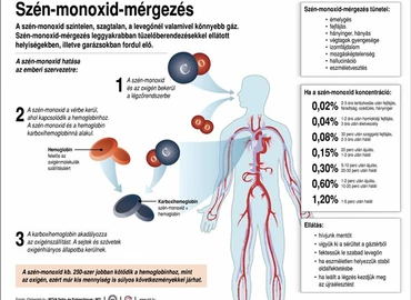 Szenteljünk nagyobb figyelmet a szén-monoxid-mérgezés megelőzésére 