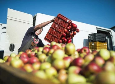 Rendkívül gyenge lehet az idei almatermés