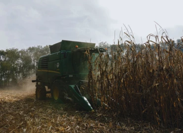 Végéhez közeledik a kukorica betakarítása Zala megyében 