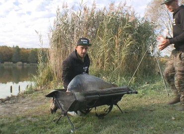 Véget ért a Carp Cup