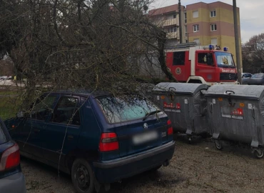 Kidőlt fák, pincébe zúduló víz adott munkát a tűzoltóknak vasárnap