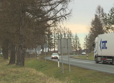 Pótolnák a 7-es elkerülő mellett húzódó vörösfenyősort