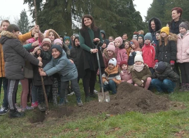 Nyolc fával és tizenhat cserjével gazdagodott a palini iskola parkja