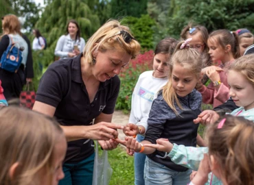 „Az én kertem” – rajz- és videópályázat általános iskolák számára