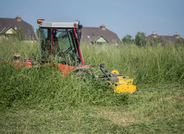 Allergiás tüneteket okozhatnak a pázsitfűfélék