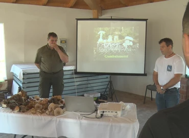 Gombaismereti előadást tartott Gál Sándor a galamboki termelői piacon