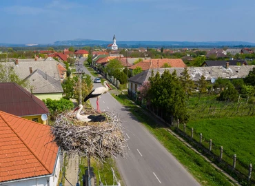 Közösen várják vissza a gólyákat a madártani egyesület és az E.ON szakemberei