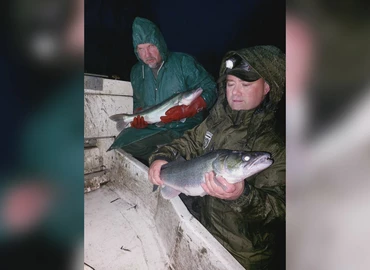 Az idei év utolsó haltelepítése a Csó-tónál – 10 kilós halak is érkeztek