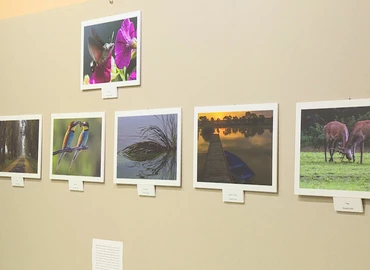 Facebook-csoport fotókiállítása nyílt a Hevesi-iskolában 