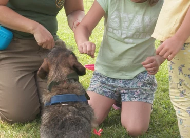 Családi napot tartott az Ebtenyésztők Sport és Hobbi kutyások Dél-Zalai Egyesülete