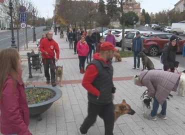  Kutyák és gazdik összhangját segítő sétát rendeztek 