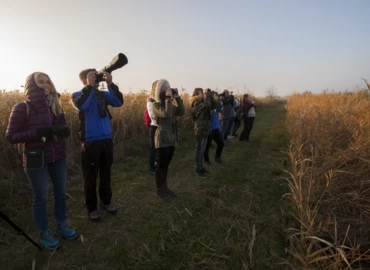 Megjelent a Madármegfigyelők kézikönyve