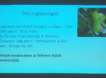  Egyre többen vannak tisztában a magvak jótékony hatásaival 